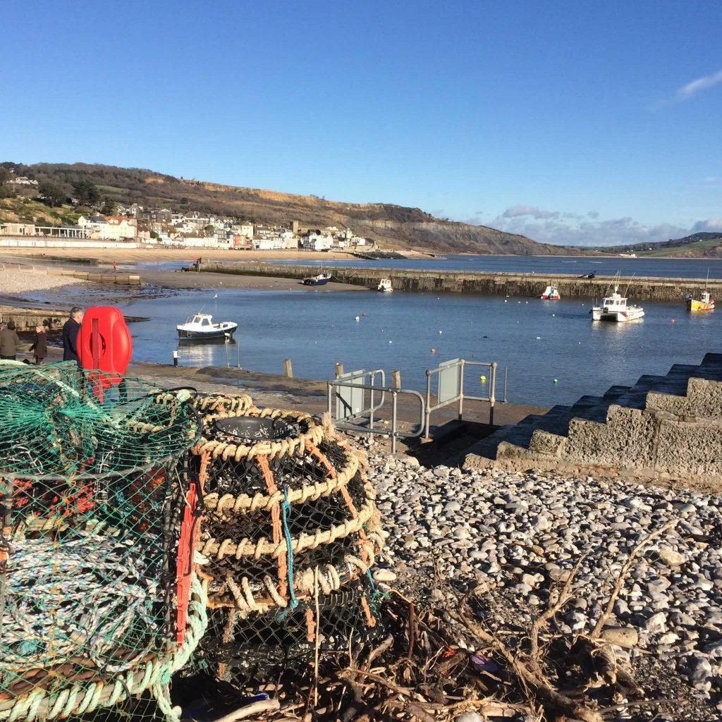 Cardsmill Farm Holidays Lyme Regis